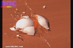 Egg Dropping Breaking HS Video