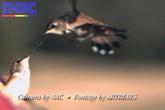 high speed camera shot